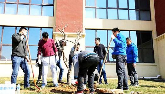 Tree planting activities of Jinze Industrial Group in 2019